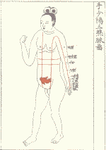 懐胎四ヶ月